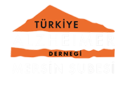 Özel Demans-Alzheimer Engelli Bakım Merkezi